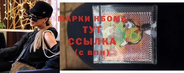 твердый Гусь-Хрустальный