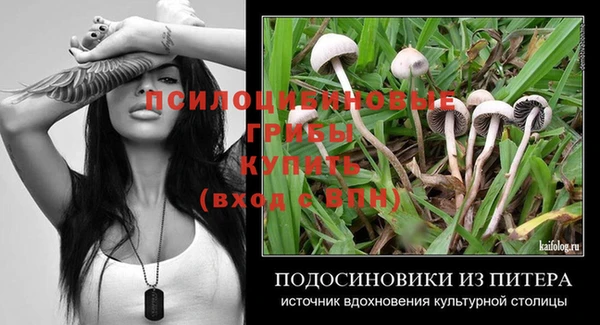 твердый Гусь-Хрустальный