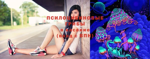 твердый Гусь-Хрустальный