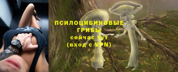 твердый Гусь-Хрустальный