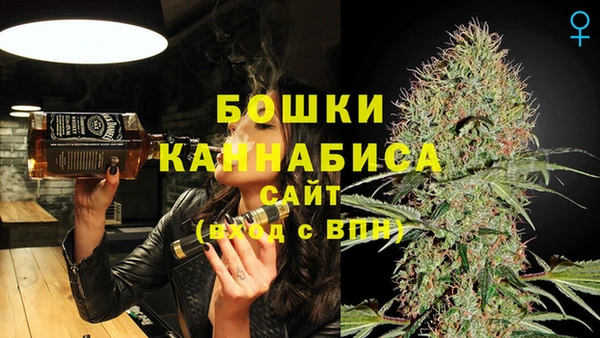 твердый Гусь-Хрустальный